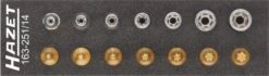 Hazet TORX® Werkzeug-Satz, 163-251/14